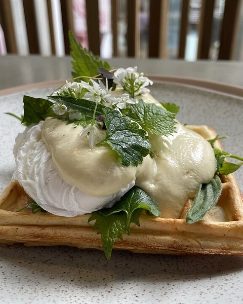 Honigwaffeln Rezepte | Chefkoch