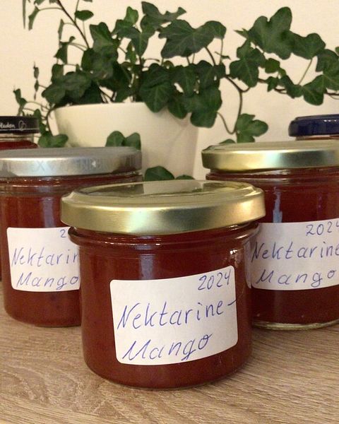 Mango Marmelade Rezepte | Chefkoch