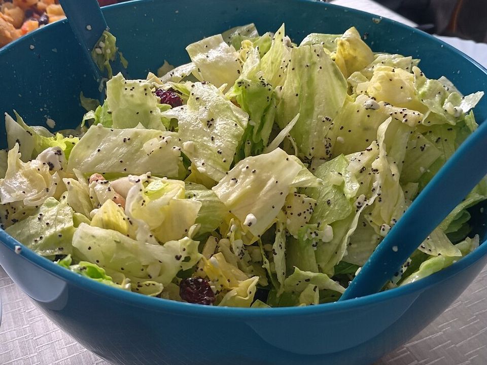 Eisbergsalat mit Cranberrys, nach amerikanischer Art von ...