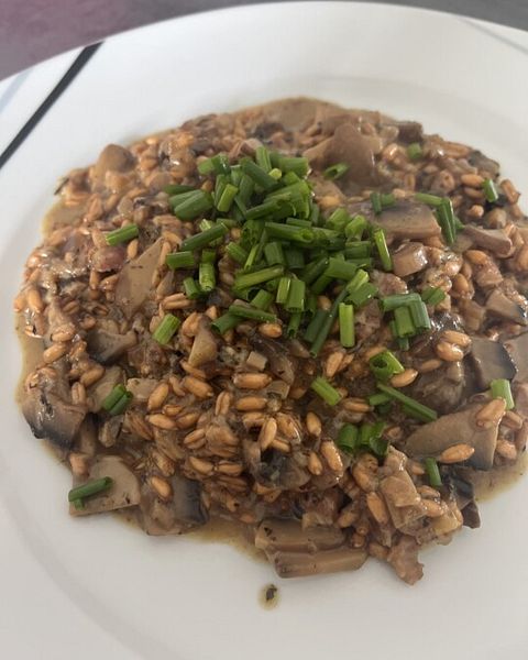 Dinkelkörner Rezepte | Chefkoch Dinkelkörner Rezepte | Chefkoch