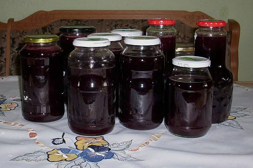 Holundersaft bei Erkältung / Basissaft