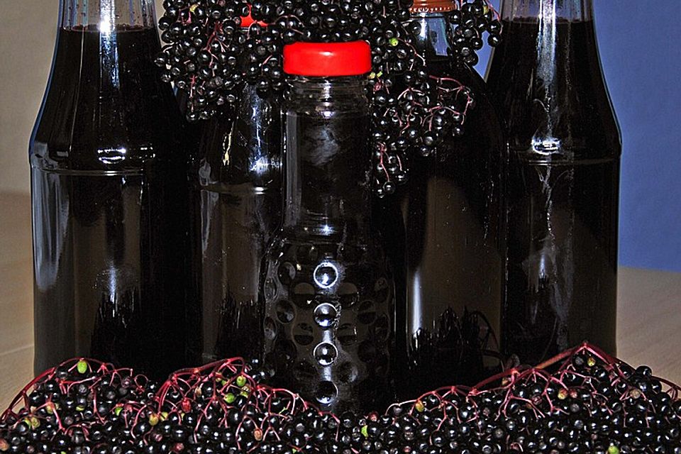 Holundersaft bei Erkältung / Basissaft