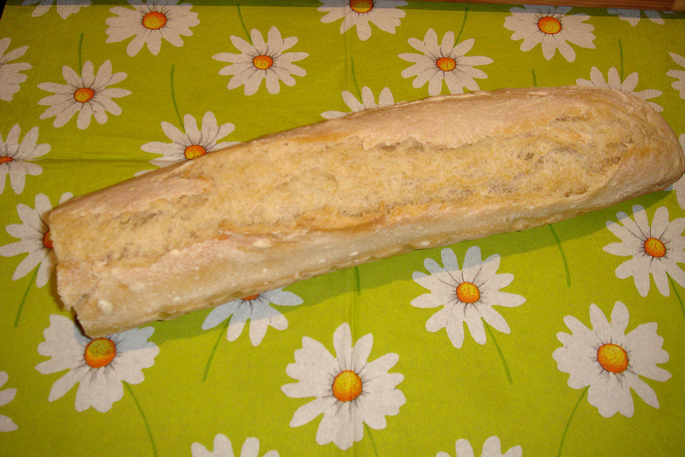 Baguette - Teig aus dem BBA