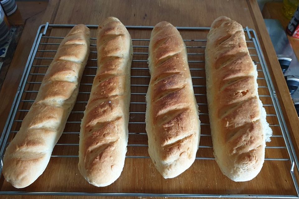 Baguette - Teig aus dem BBA