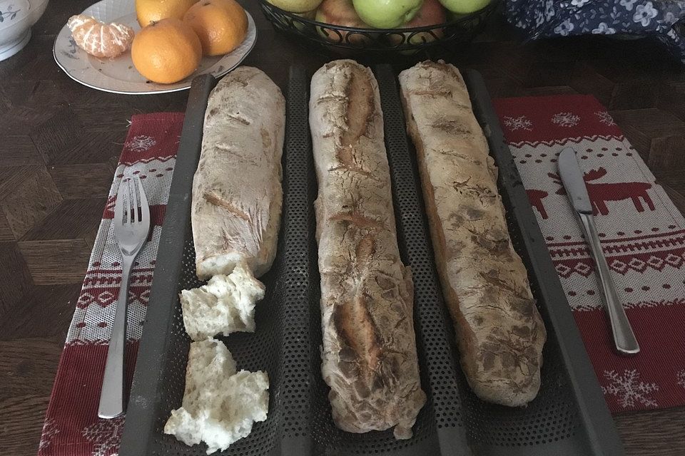 Baguette - Teig aus dem BBA