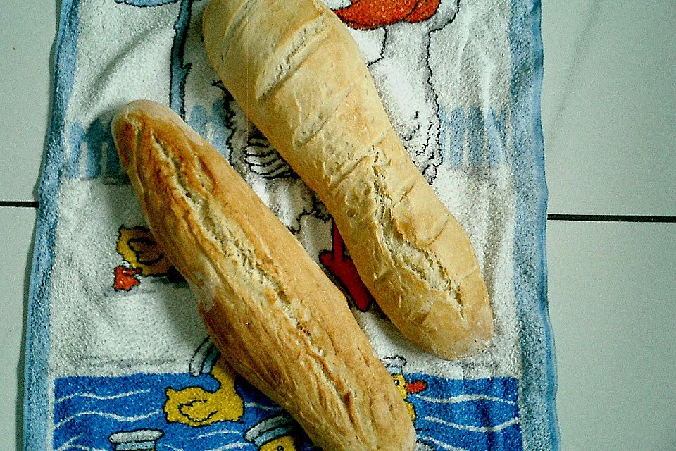 Baguette - Teig aus dem BBA