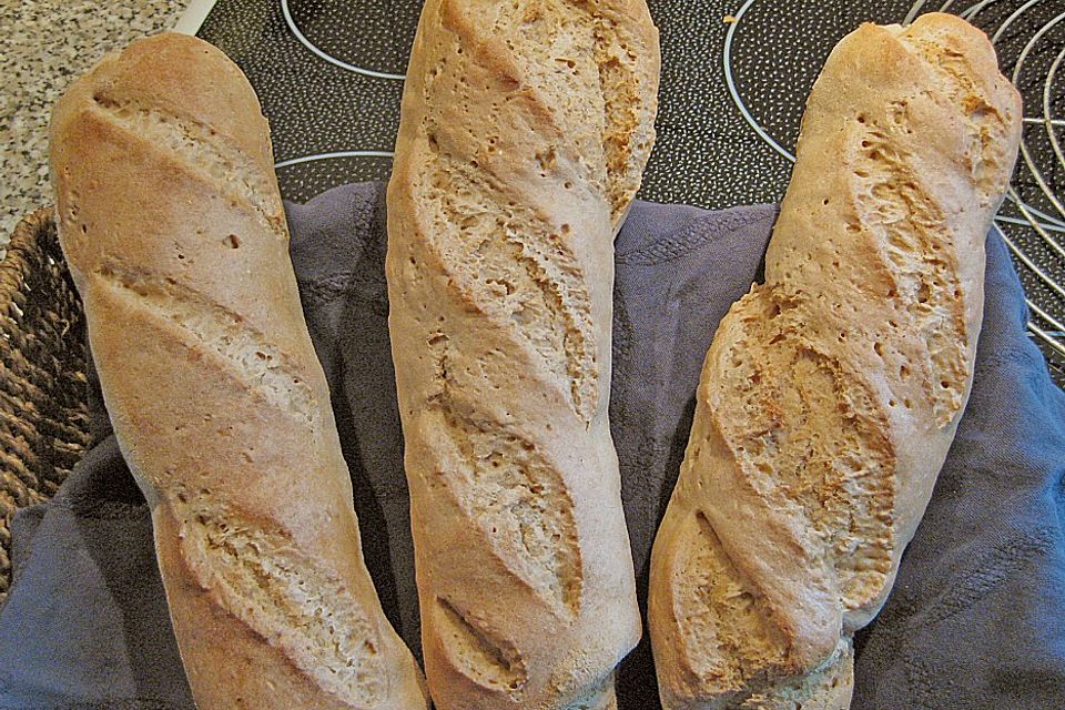 Baguette - Teig aus dem BBA