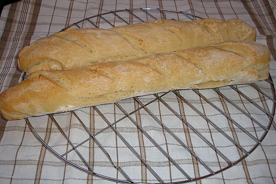 Baguette - Teig aus dem BBA