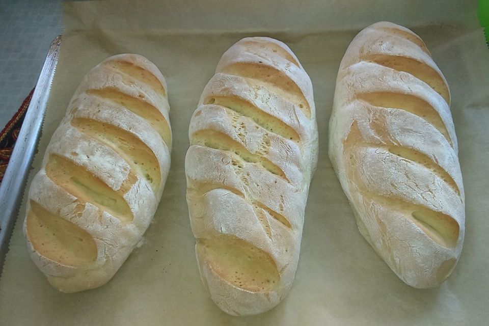 Baguette - Teig aus dem BBA