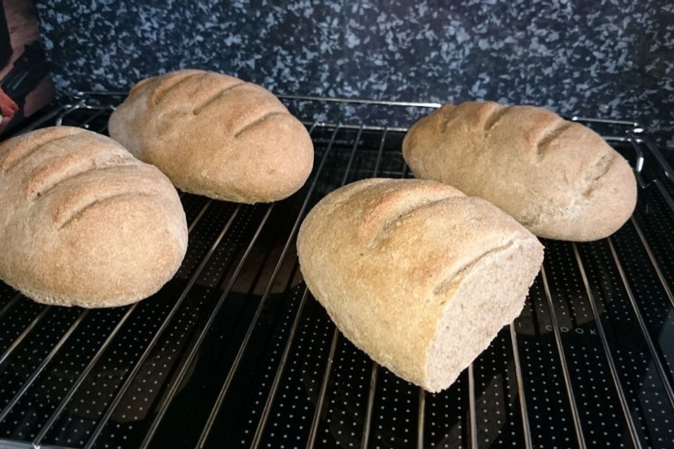 Baguette - Teig aus dem BBA