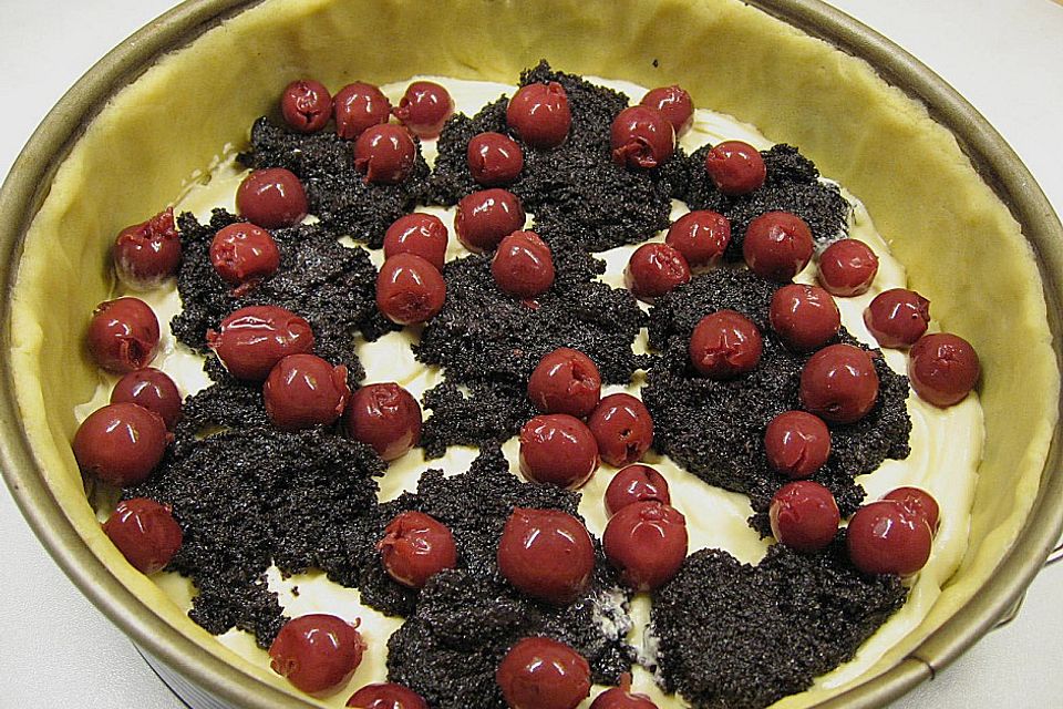 Mohn - Käsekuchen mit Kirschen