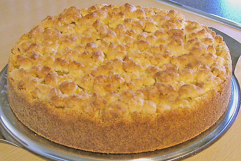 Käse - Aprikosen - Kuchen