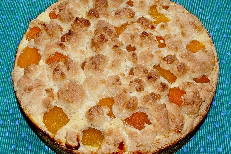 Käse - Aprikosen - Kuchen