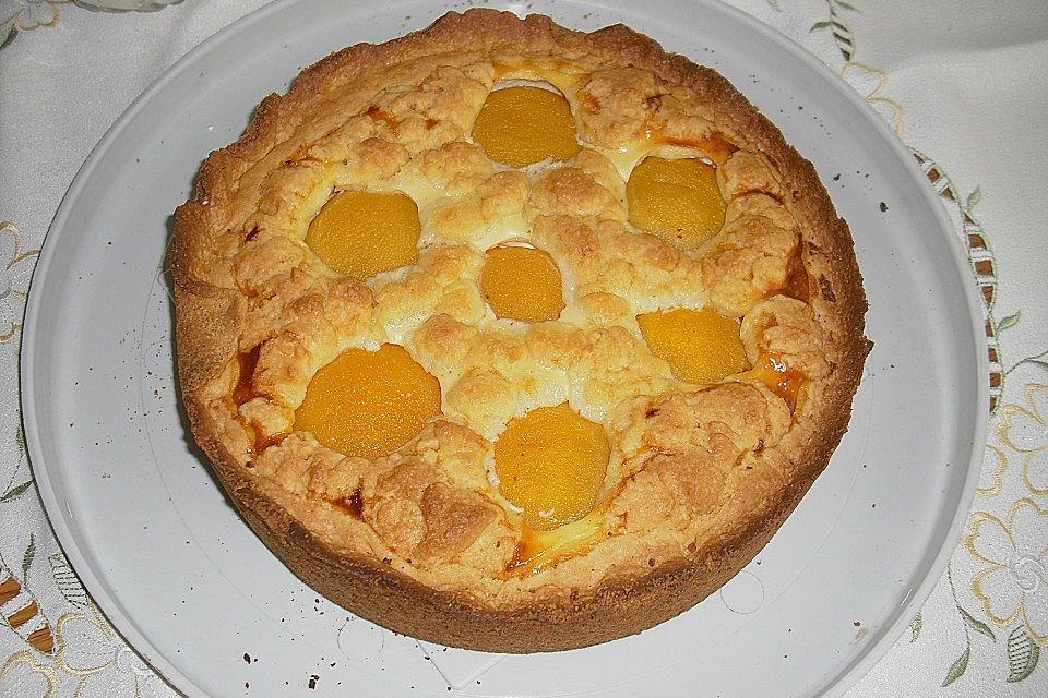 Käse - Aprikosen - Kuchen