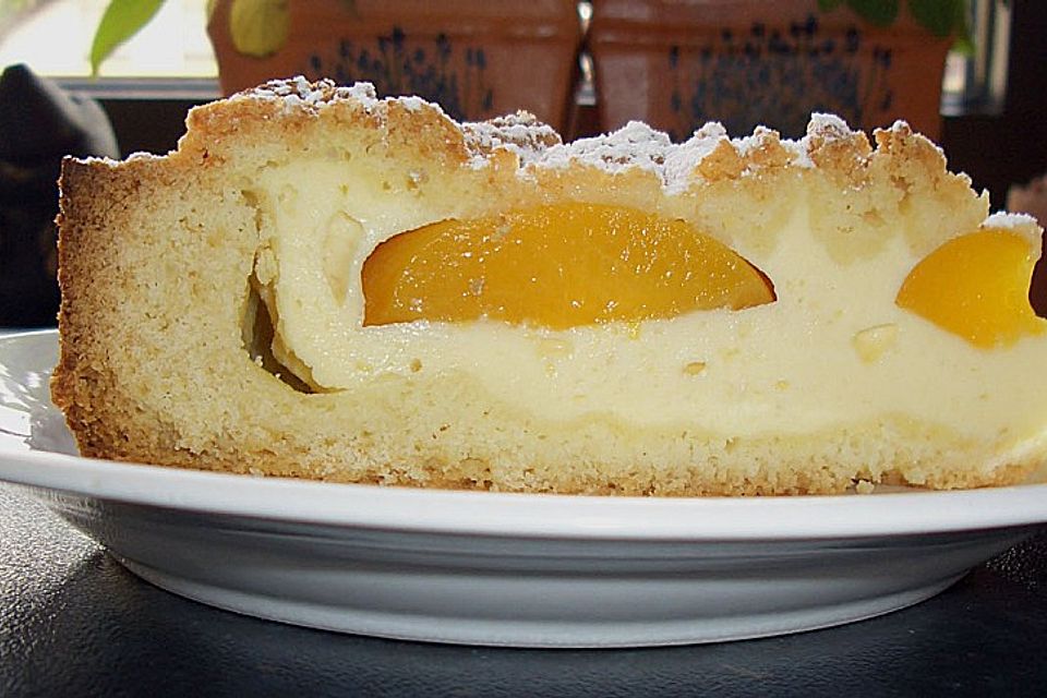 Käse - Aprikosen - Kuchen