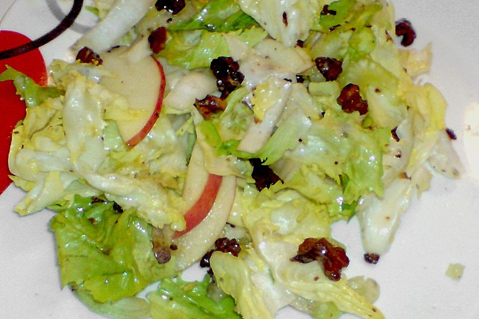 Endivien - Chicoree - Salat mit Apfel und Nüssen