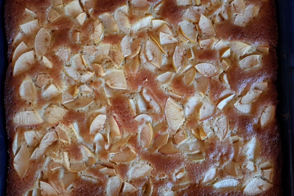 Apfelkuchen schnell und einfach Apfelkuchen schnell und einfach