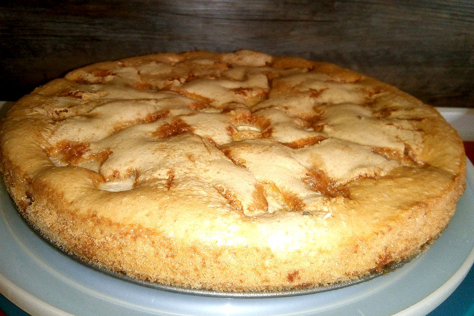 Apfelkuchen schnell und einfach Apfelkuchen schnell und einfach