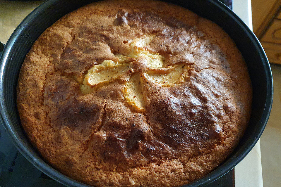 Apfelkuchen schnell und einfach Apfelkuchen schnell und einfach