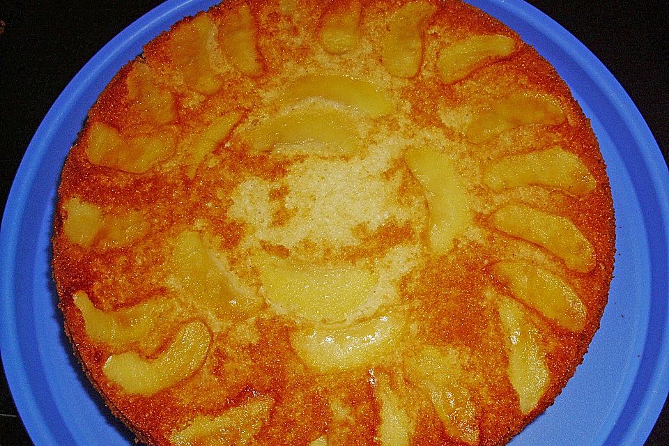 Apfelkuchen schnell und einfach Apfelkuchen schnell und einfach