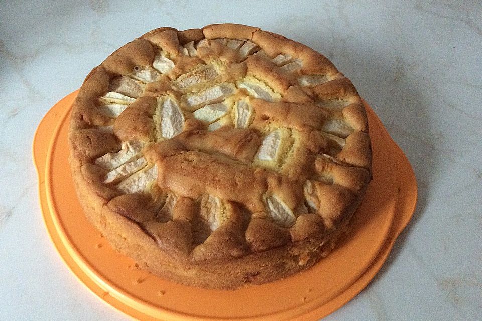 Apfelkuchen schnell und einfach Apfelkuchen schnell und einfach