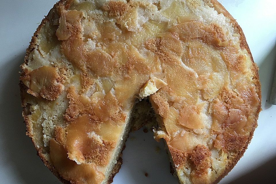 Apfelkuchen schnell und einfach Apfelkuchen schnell und einfach