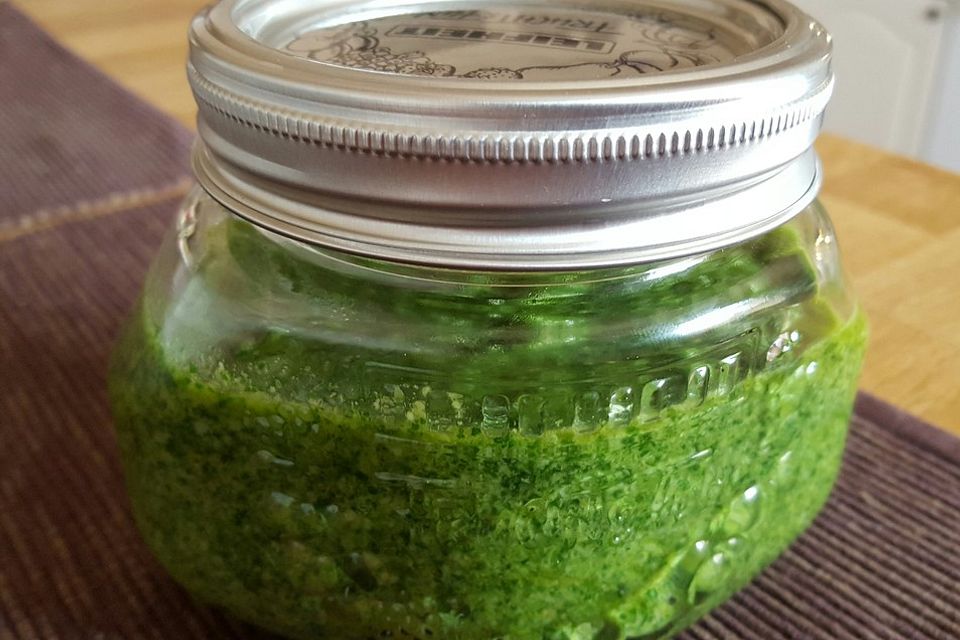 Rucola-Pesto