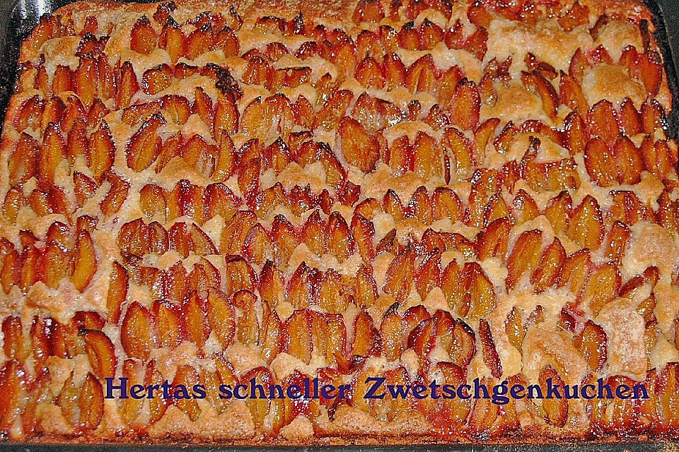 Apfelkuchen, Hertas schneller