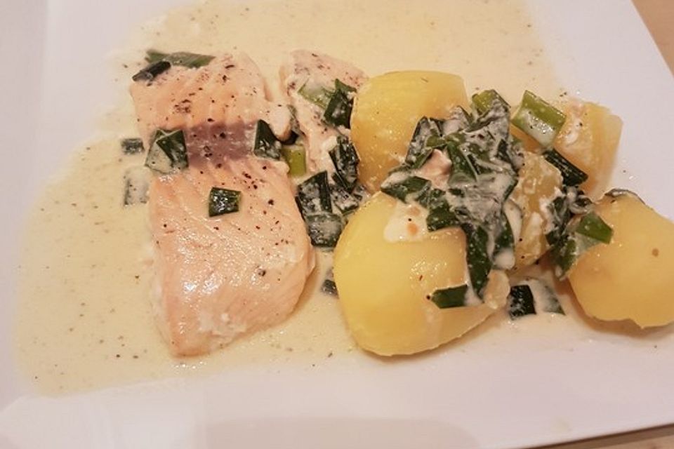 Lachs in Frühlingszwiebel-Sahne-Sauce