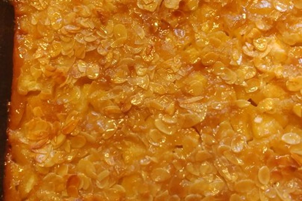 Apfelkuchen Apfelkuchen