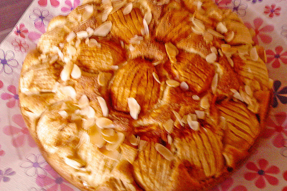 Apfelkuchen Apfelkuchen
