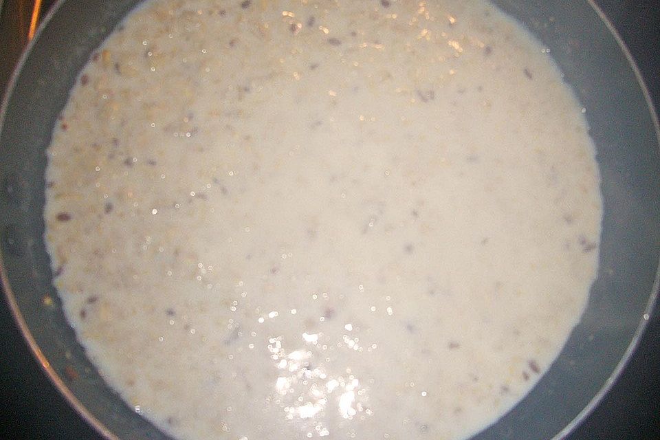 Beeriges Porridge