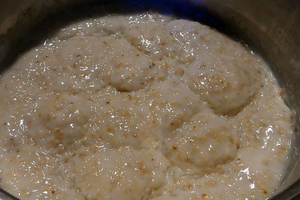 Beeriges Porridge