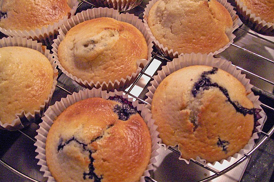 Heidelbeer Muffins