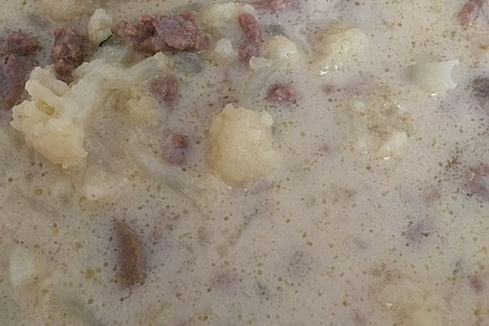 Brokkoli - Käsesuppe mit Hackfleisch und Pilzen