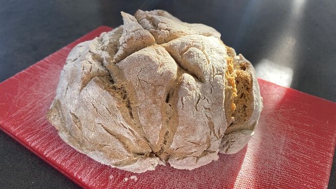 Brot, Brötchen