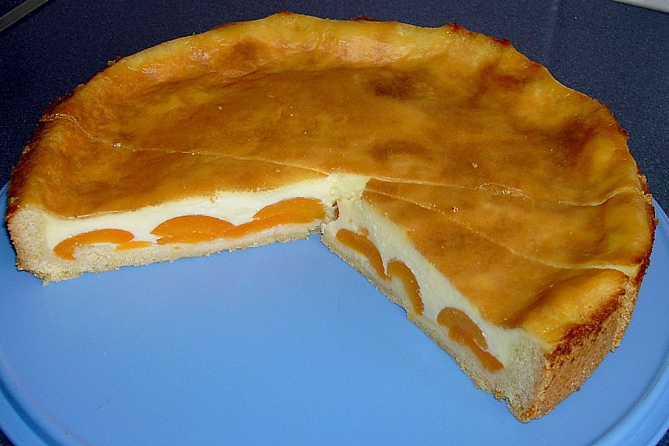 Puddingkuchen mit Aprikosen