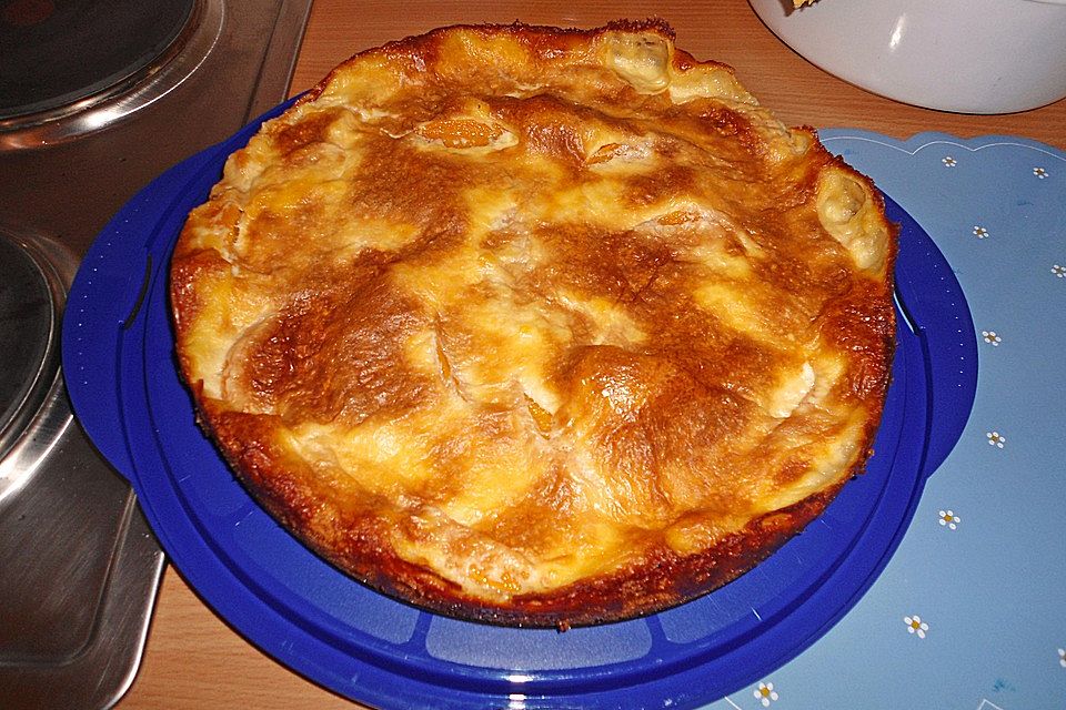 Puddingkuchen mit Aprikosen