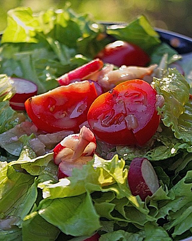 Senf - Salatsoße für alle grünen Salate