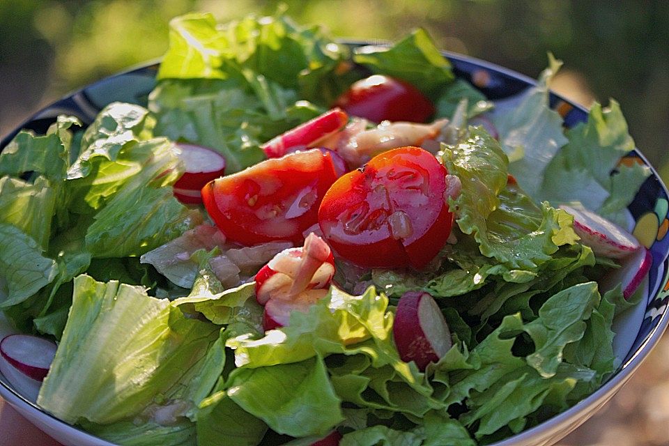 Senf - Salatsoße für alle grünen Salate