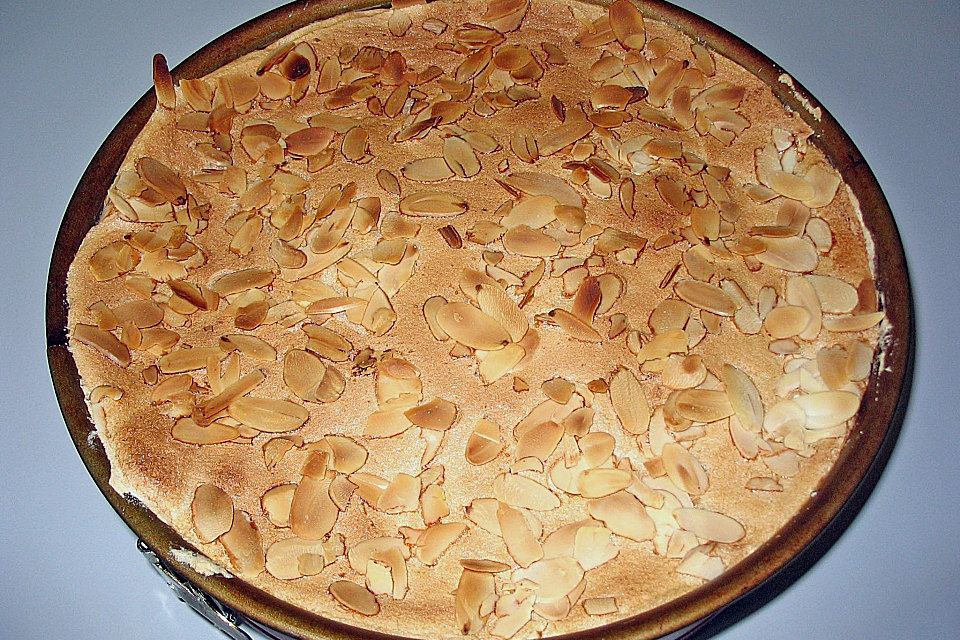 Mohn - Quark - Blitzkuchen