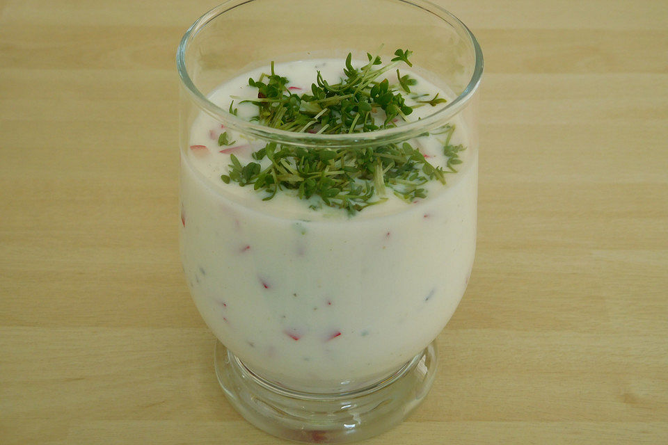 Kefir - Radieschen -Drink