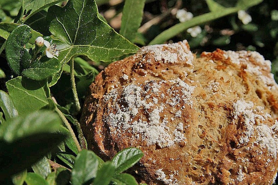 Weißes Soda - Brot