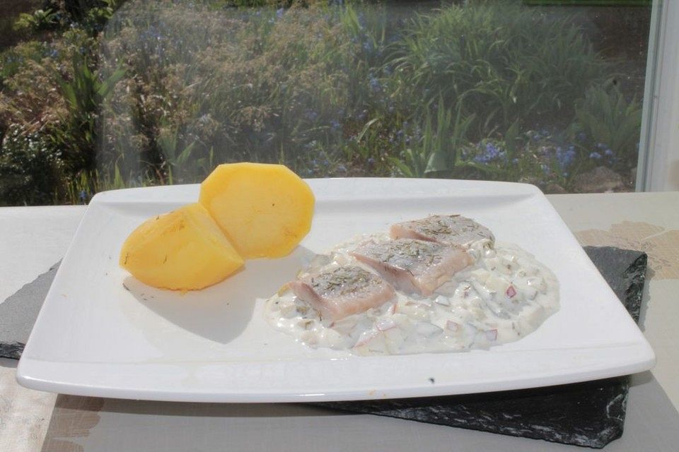 Matjes - Filet in Joghurt - Dill - Creme