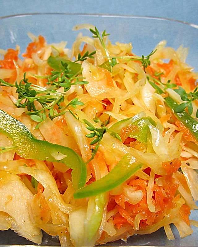 Griechischer Krautsalat mit Karotte und Paprika