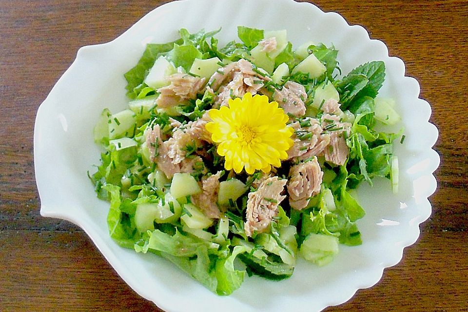 Blatt - und Gurkensalat mit Thunfisch