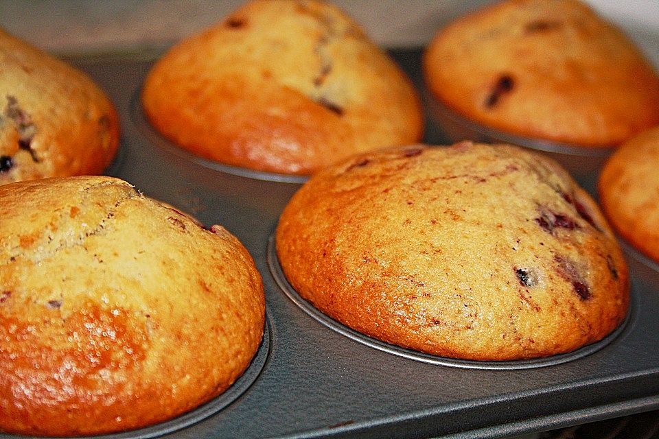 Saftige Pflaumenmuffins