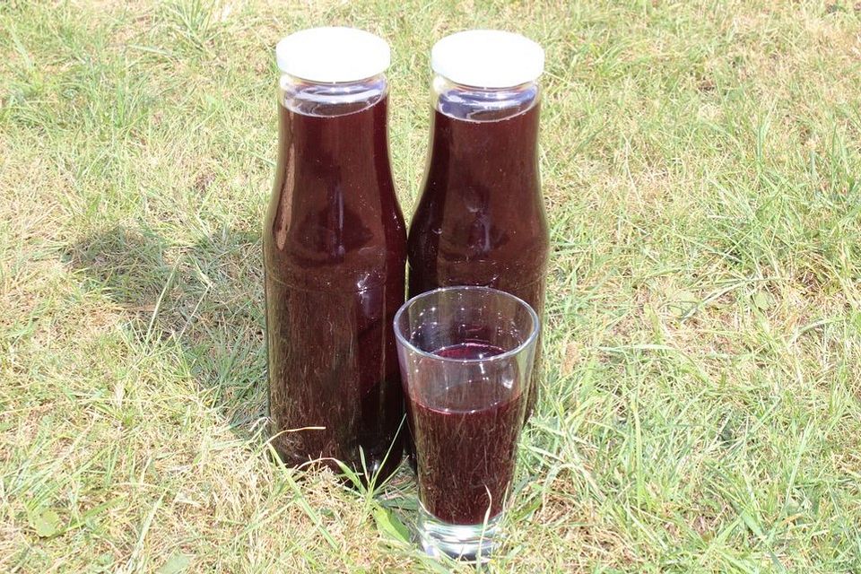 Holundersaft