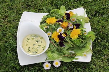 Ganseblumchen Lowenzahn Salat Von Sonja Chefkoch 