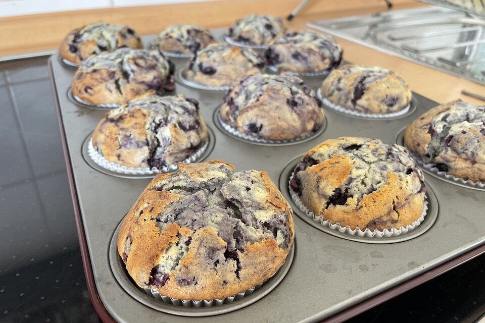 Weiße Schokoladen - Blaubeer Muffins